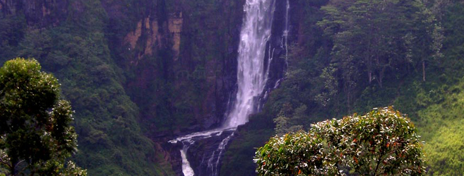 Sri Lanka - Nuwara Eliya